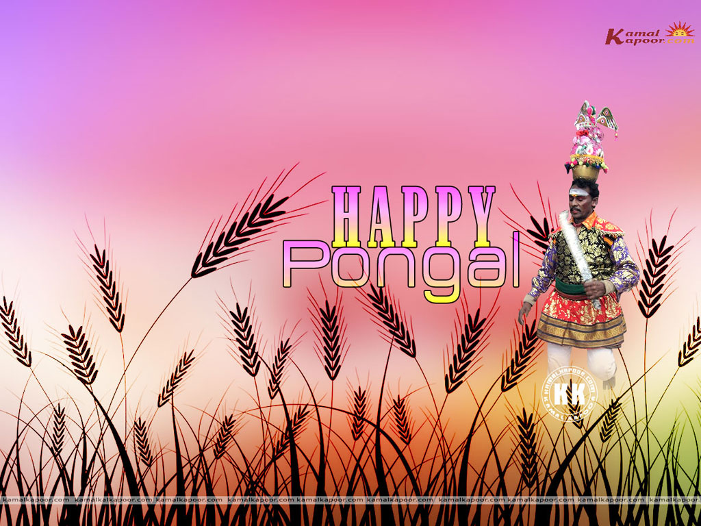 Pongal  Wallpaper